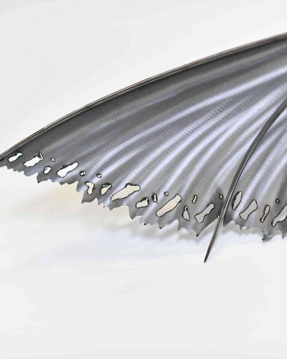 Close-Up of Wings for Artist Piece - Bespoke Recycled Metal "Askook" Dragon Wall Art - Black
