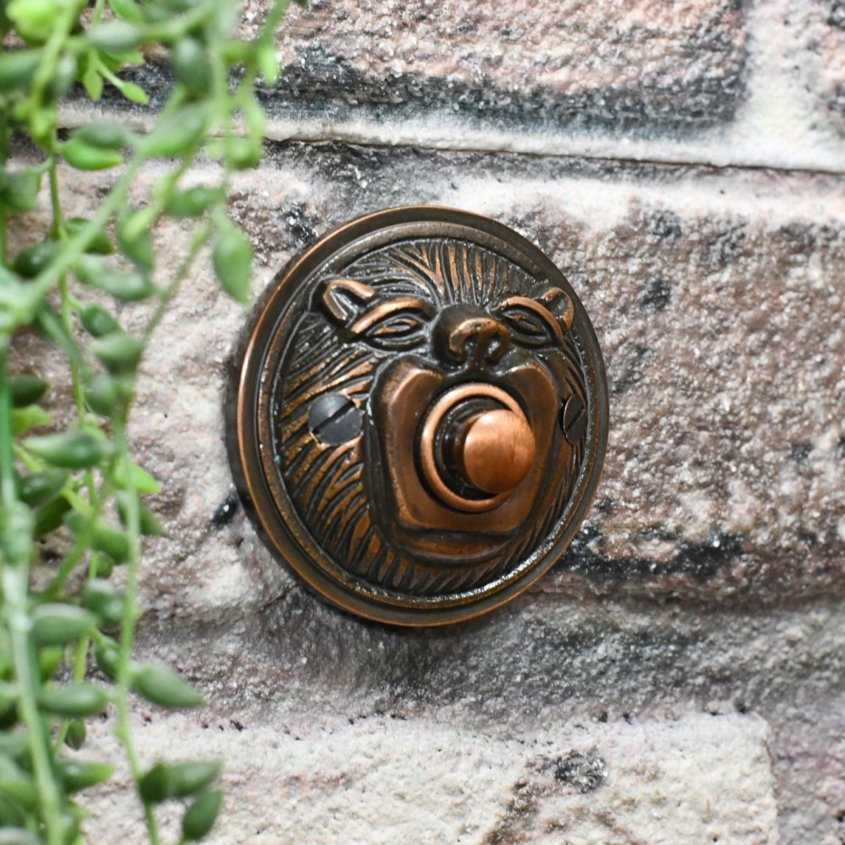 ornate round lion face door bell 