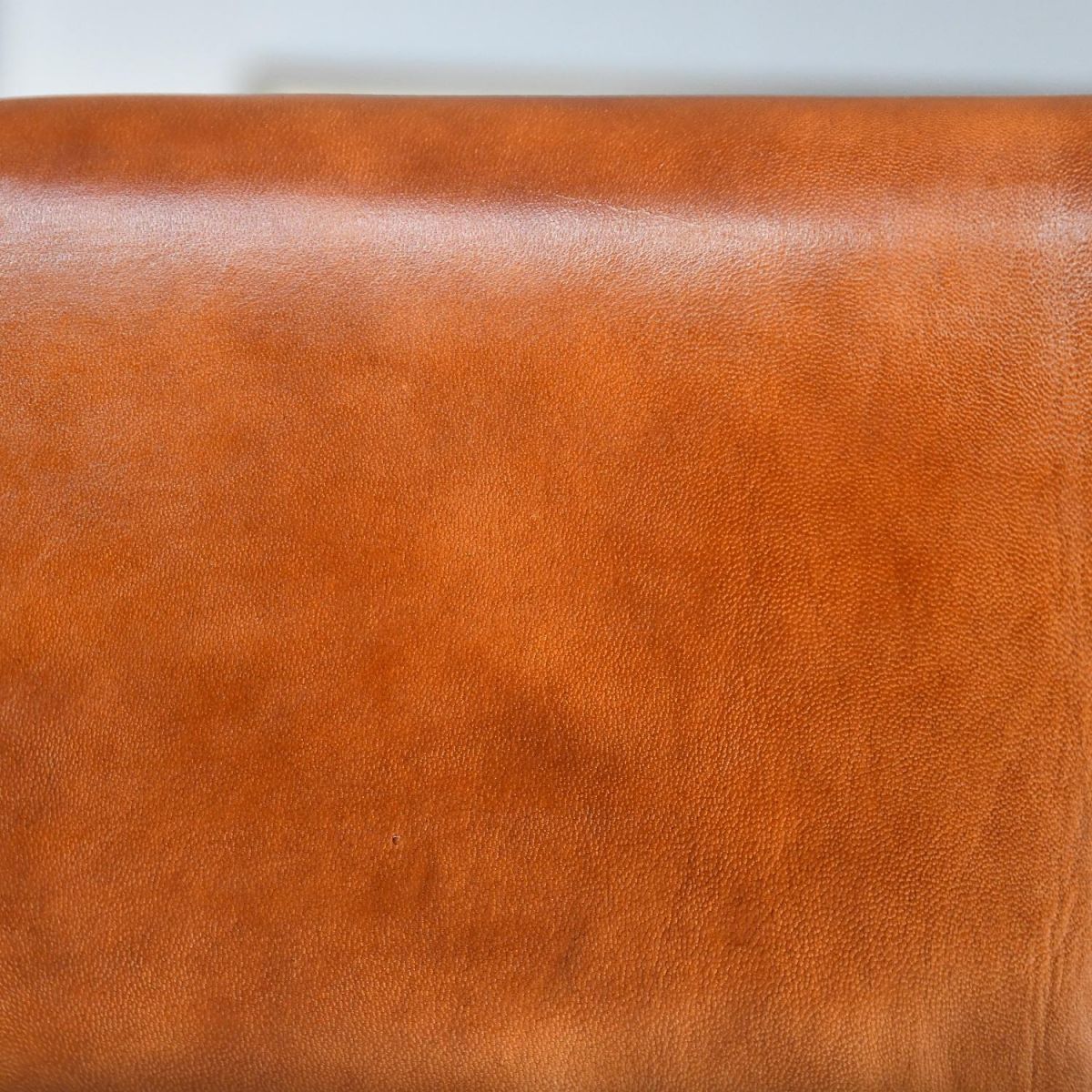 Close up of Buffalo Leather 
