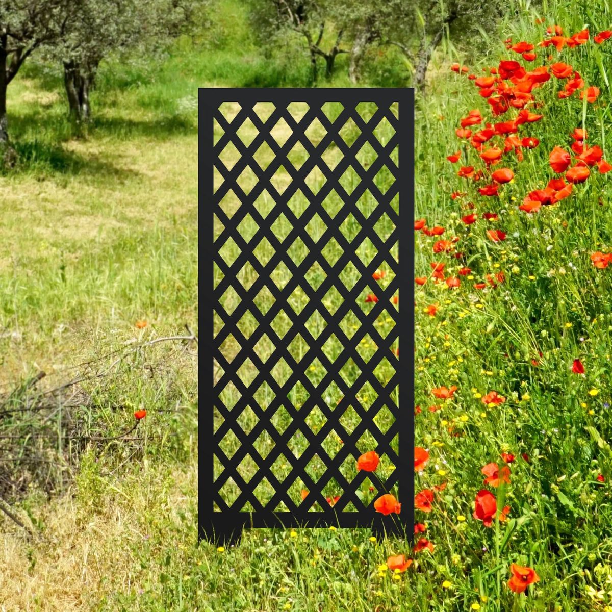 Black decorative garden trellis