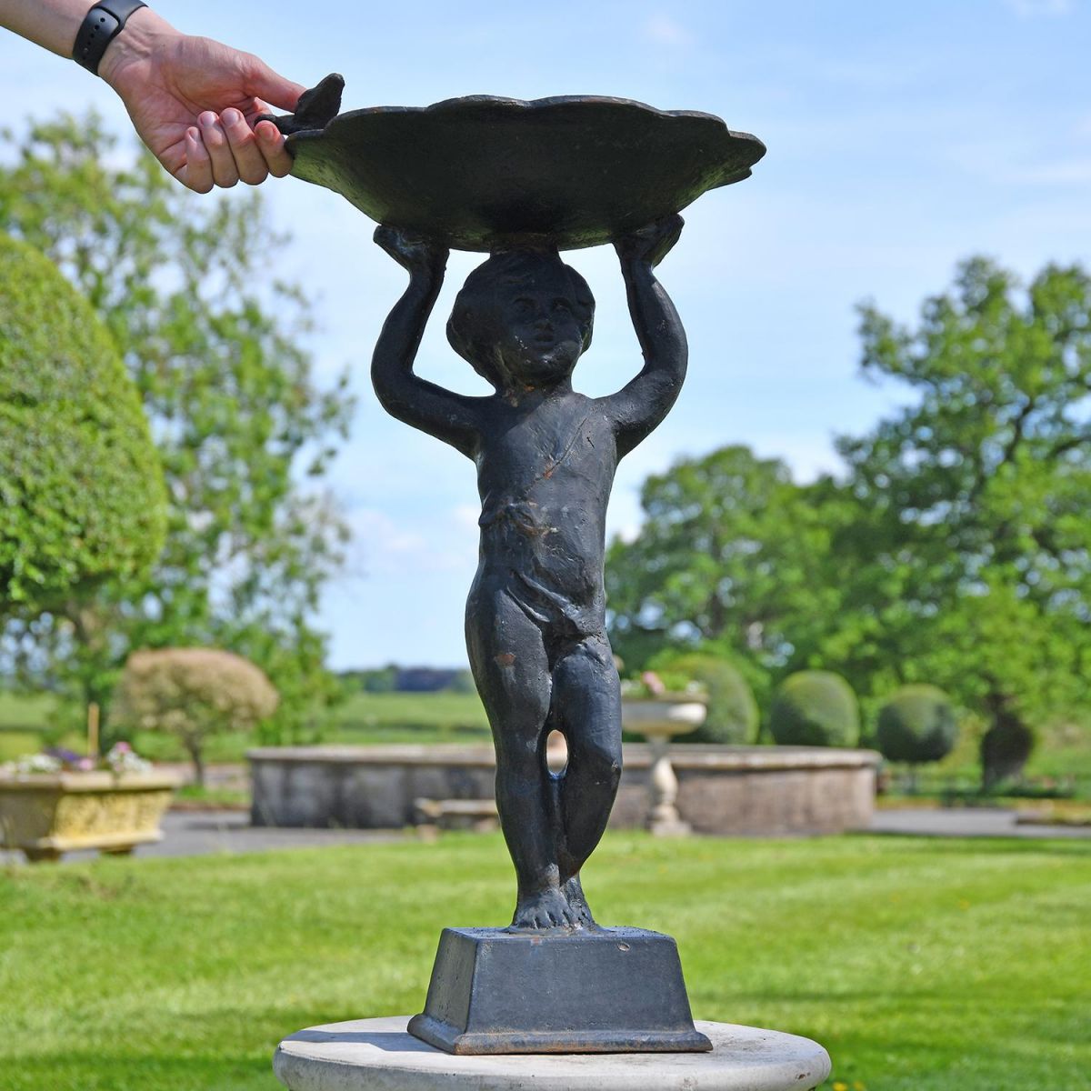 Black Bird Bath to Scale