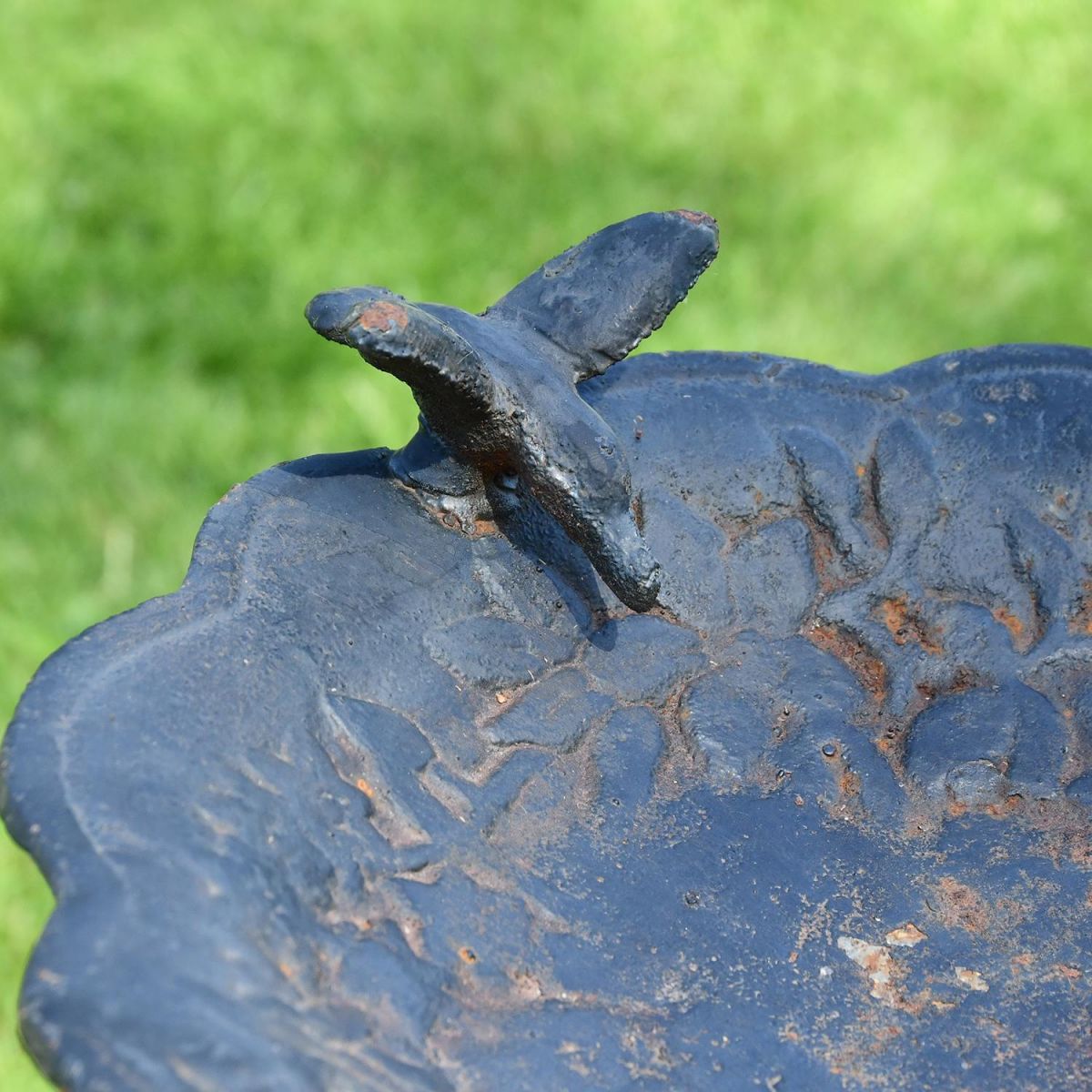 Close-up of the Bird on the Top of the Black Cherub Bird Bath