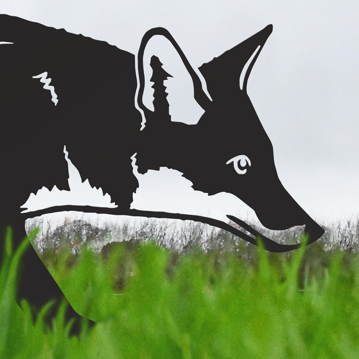 Close-up of the Head of the Iron Silhouette Fox