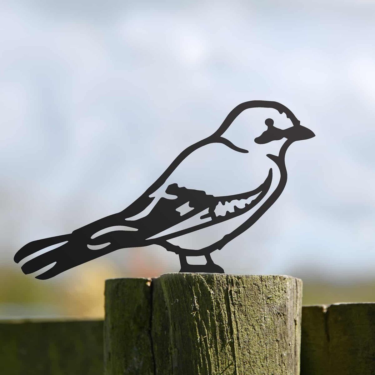 Black Jay Bird Steel Fence Topper in Situ