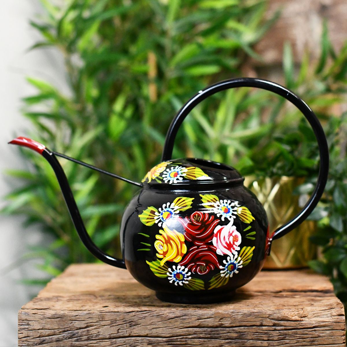 Black Watering can with a Large Carry Handle
