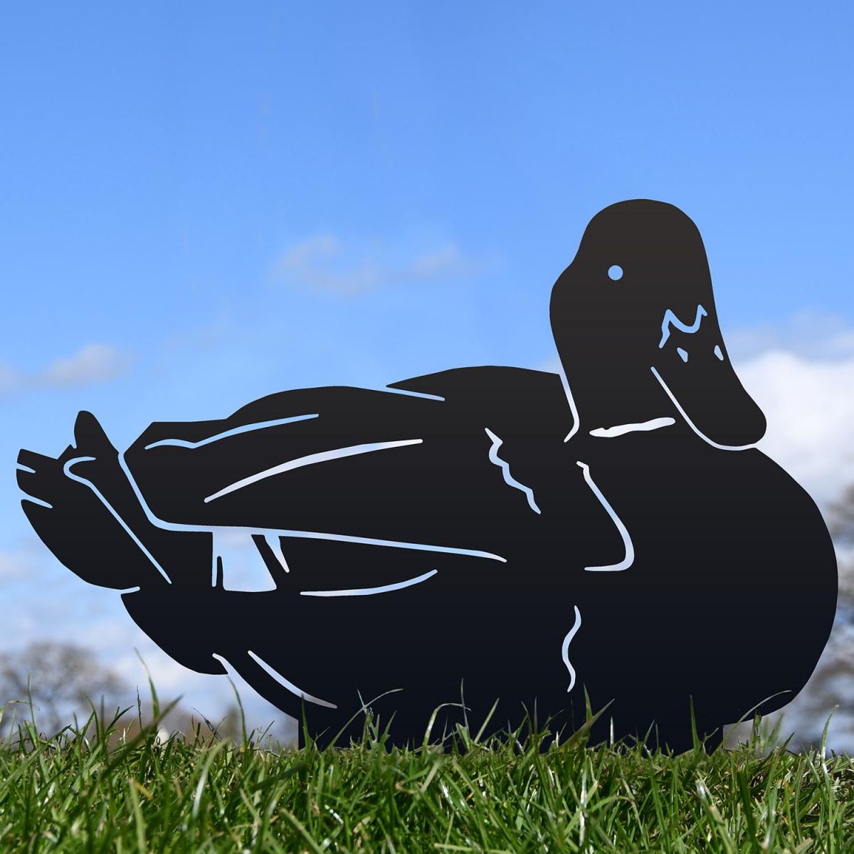 Black Sitting Duck Silhouette in Situ
