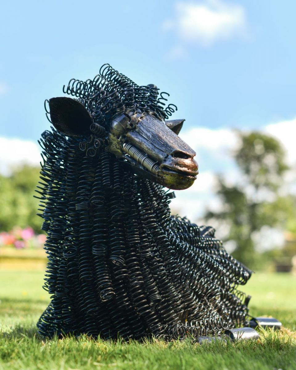 Front view of Black Sheep Bedspring Sculpture