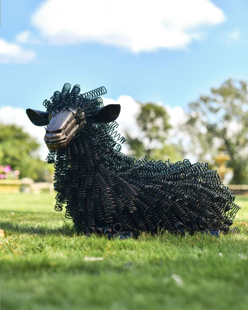 Black Sheep Bedspring Sculpture