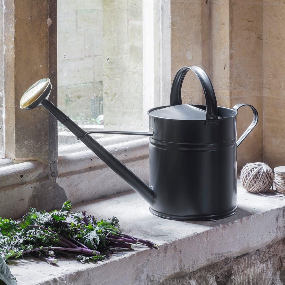 Black Traditional Watering Can in Situ