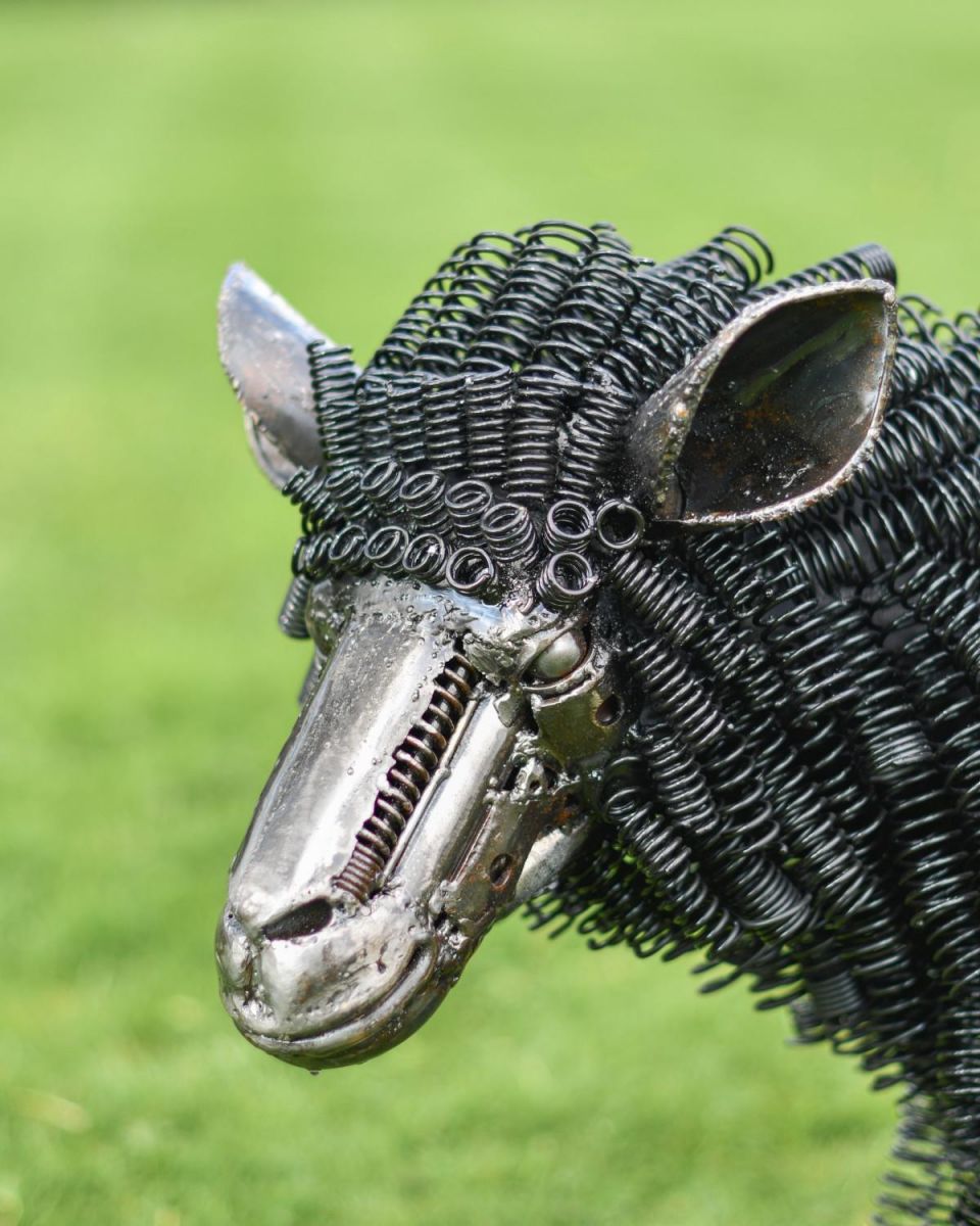 Close-Up of Close-Up of Facial Features of Recycled Metal Sheep Sculpture Looking Left