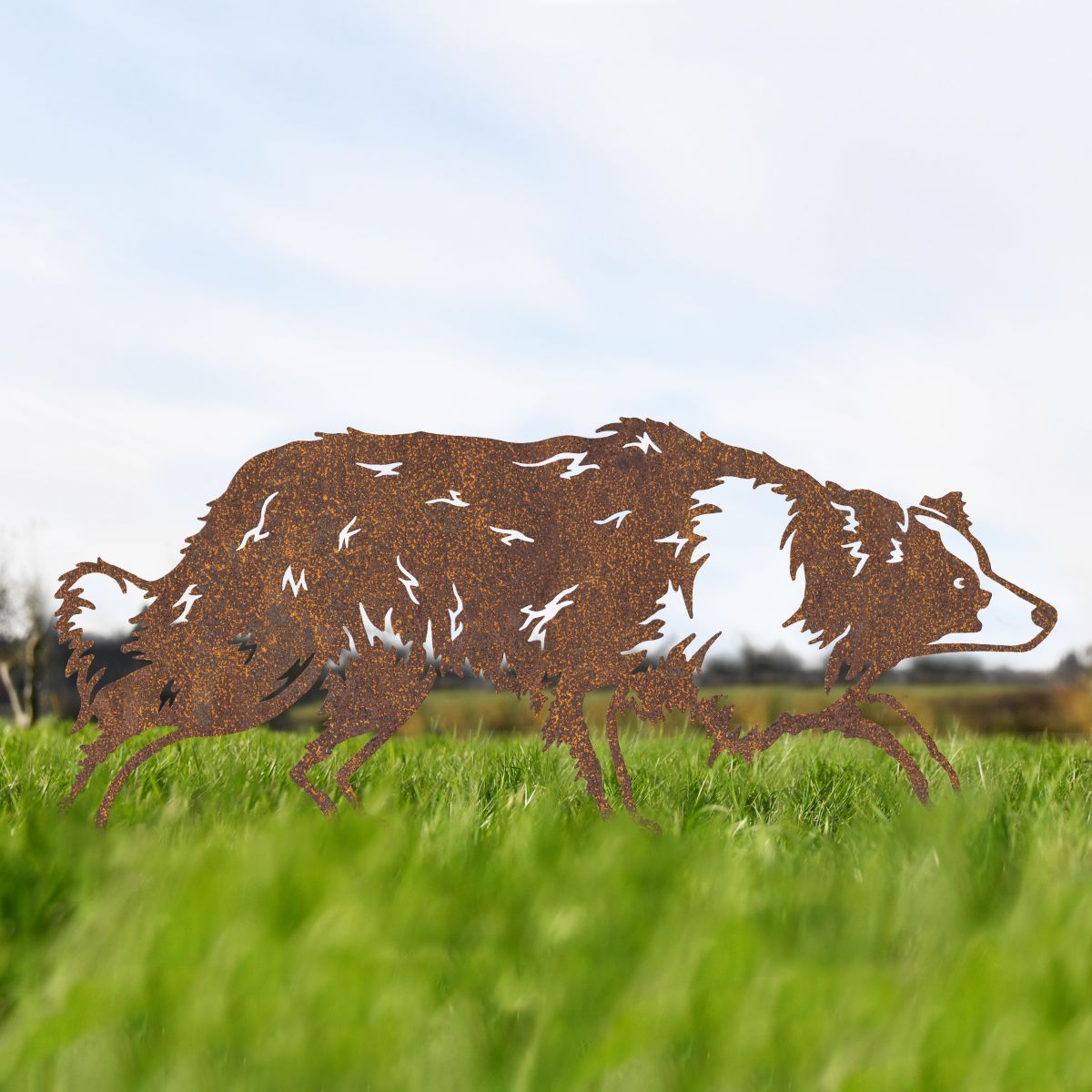 Rustic Border Collie Silhouette 