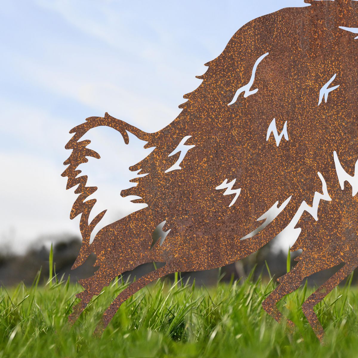 Close up of Tail on Rustic Border Collie Silhouette 