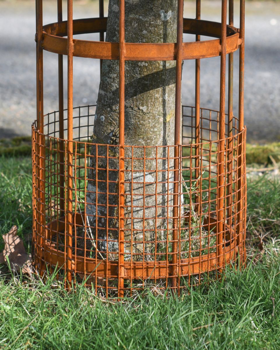 Close Up Of The Wire Around The Wrought Iron Burghley Tree Guard