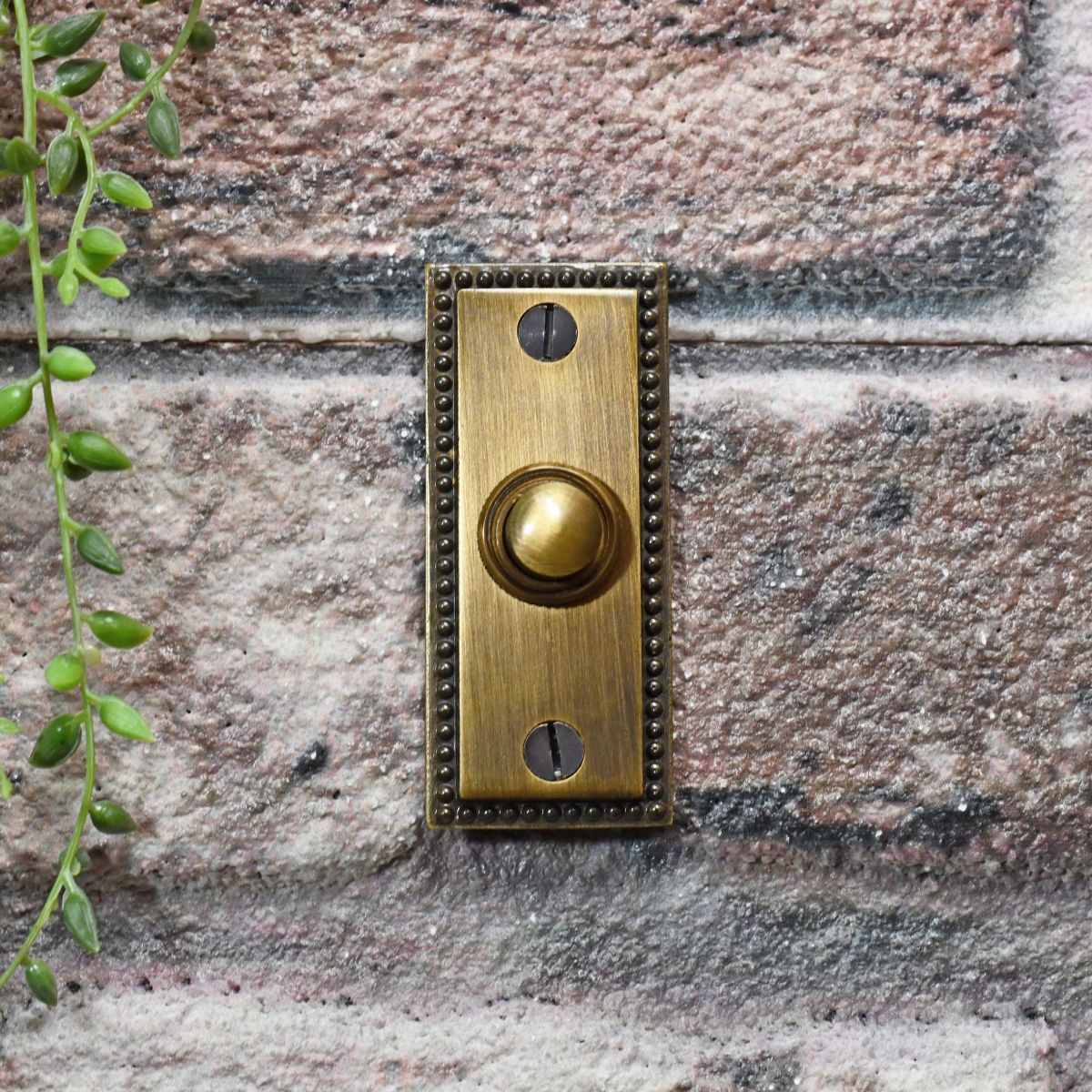 Rectangle door bell finished in antique brass