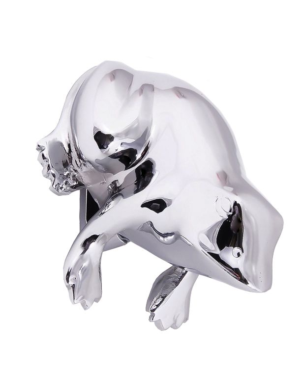 Bright Chrome Frog Door Knocker
