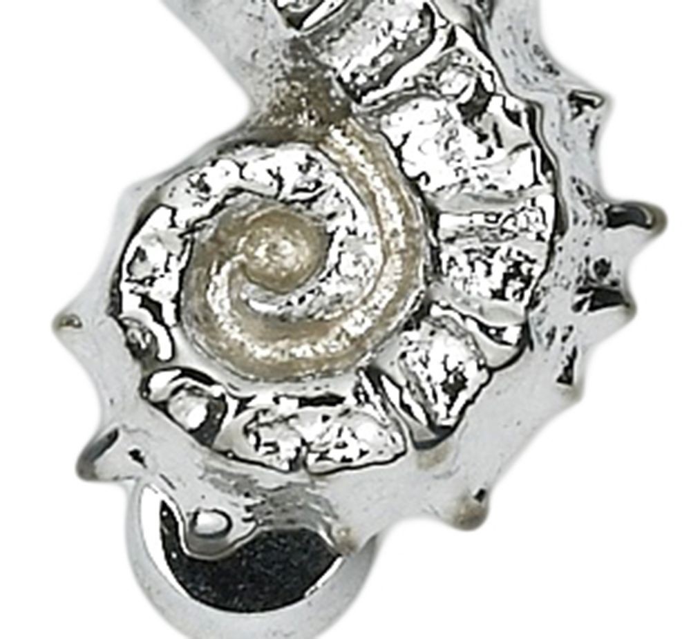 Bright Chrome Sea Horse Door Knocker