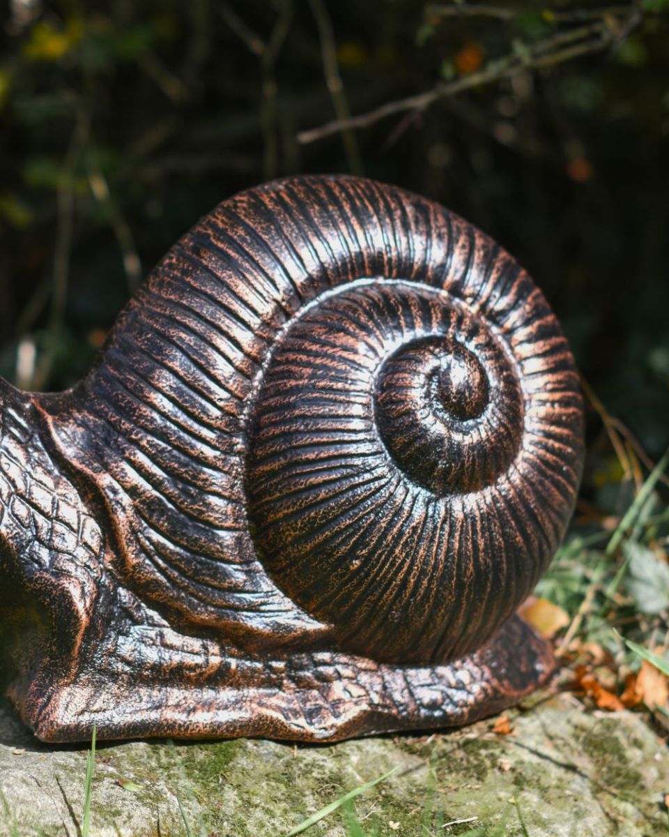 Close up of sculpture"s shell