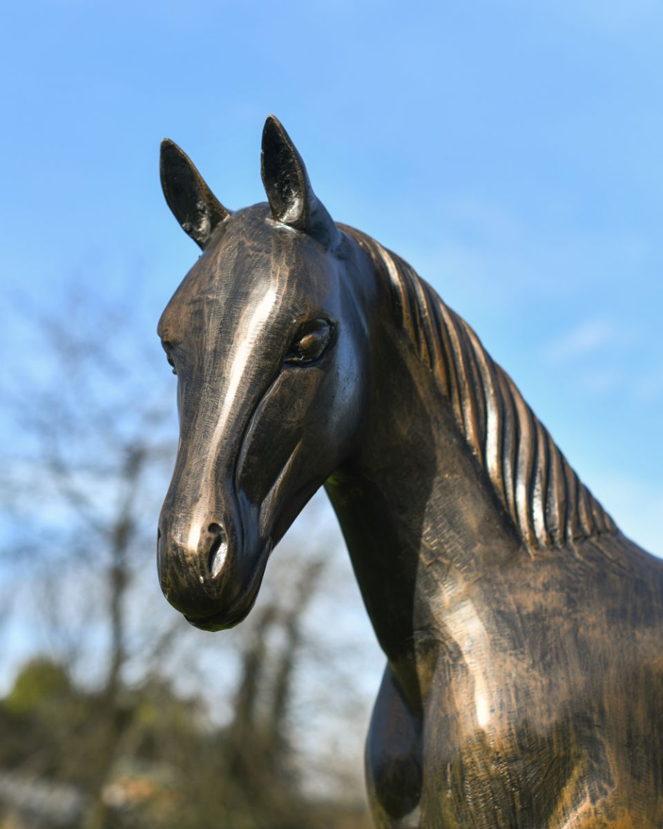 Standing Foal Garden Sculpture Face
