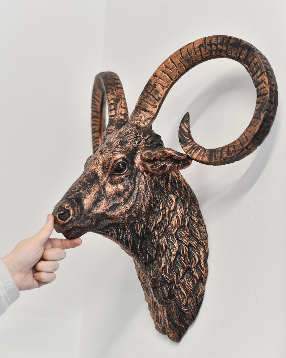 Brushed Bronze Mouflon Wall Bust to Scale