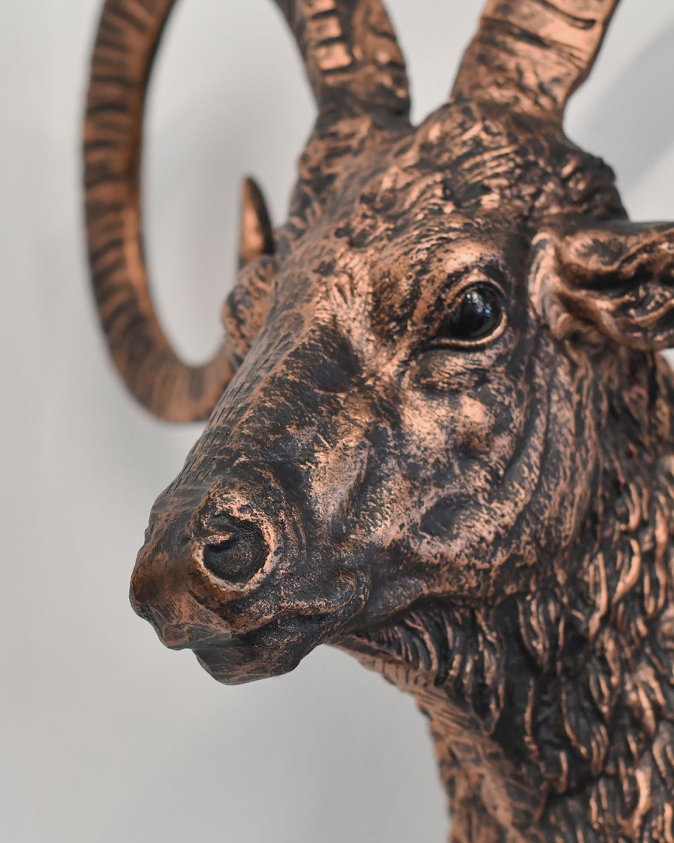 Close-up of the Eyes on the Brushed Bronze Mouflon Wall Bust