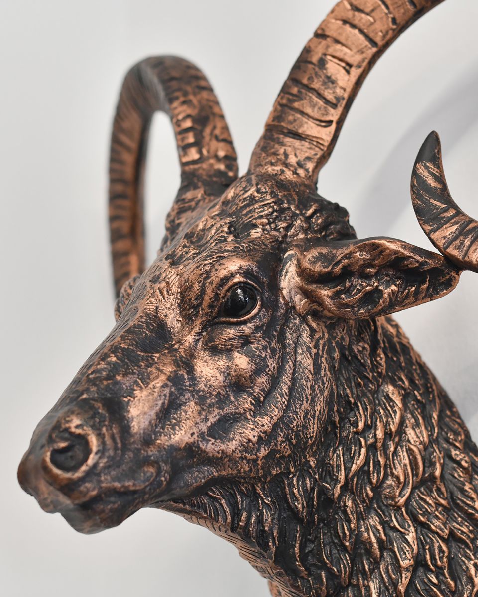 Close-up of the Face of the Mouflon Wall Bust