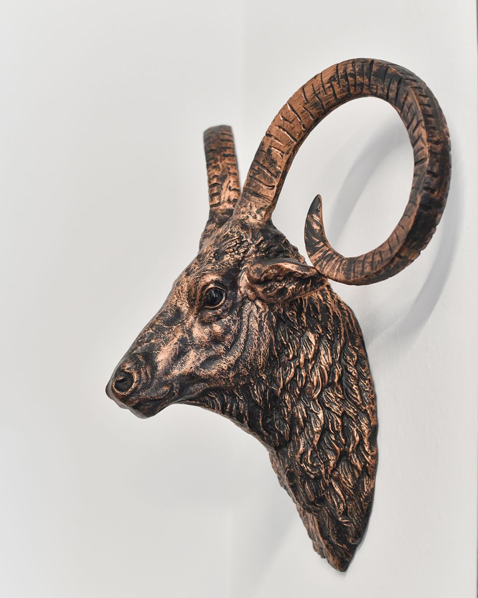 View of the Side of the Brushed Bronze Mouflon Wall Bust