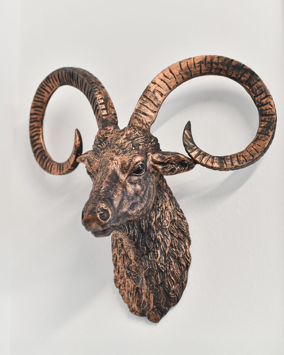 Brushed Bronze Mouflon Wall Bust in Situ on a White Wall