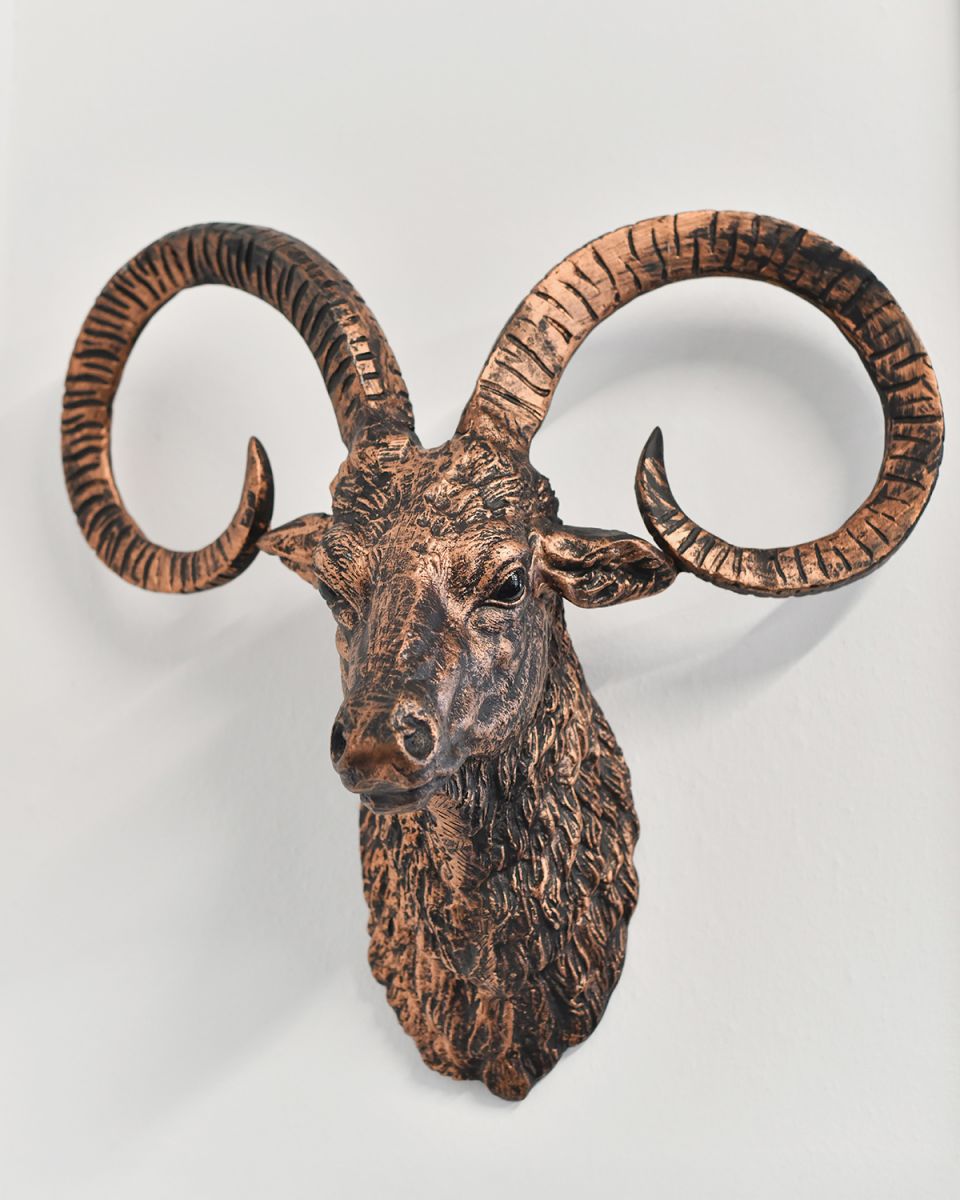 Mouflon Wall Bust in a Brushed Bronze Wall Bust