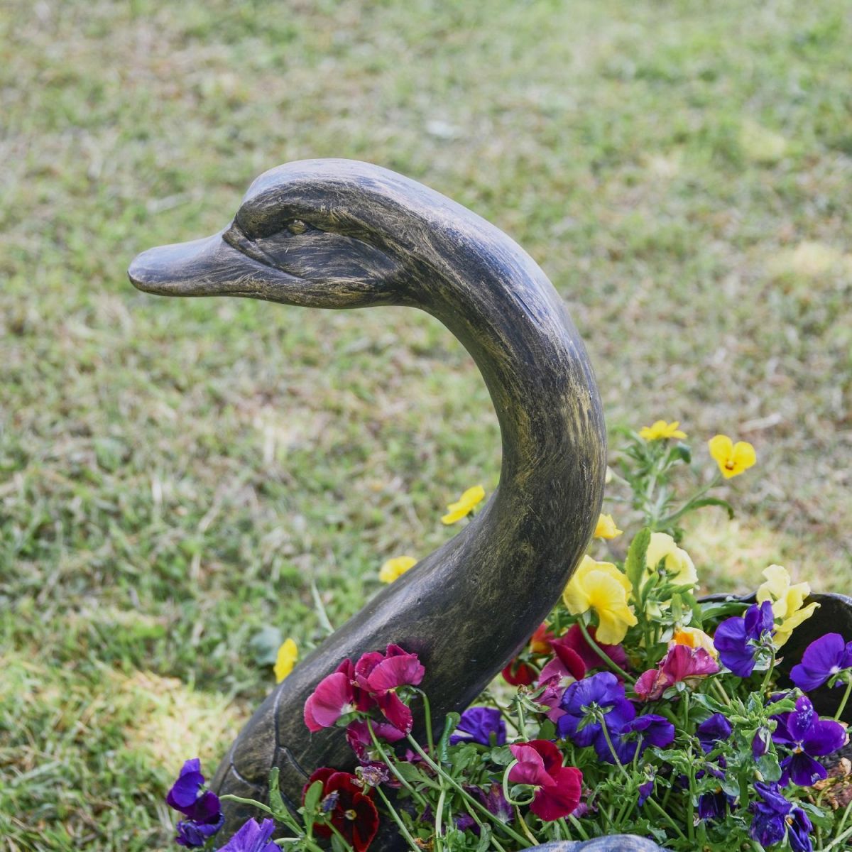 Close-up of the Head of the Brushed Gold Swan