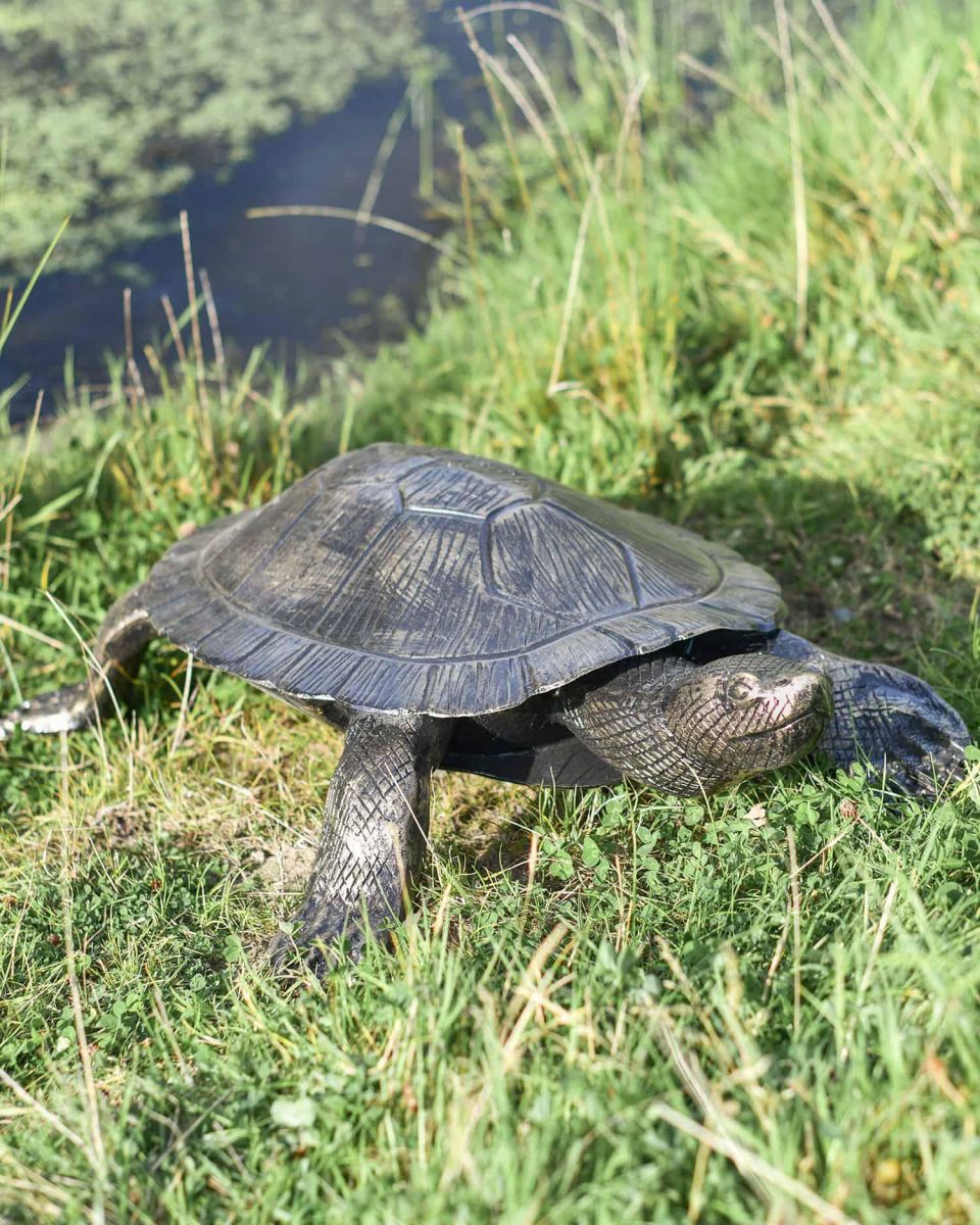 Cast Aluminium "Free Roam" Turtle Garden Sculpture in SItu