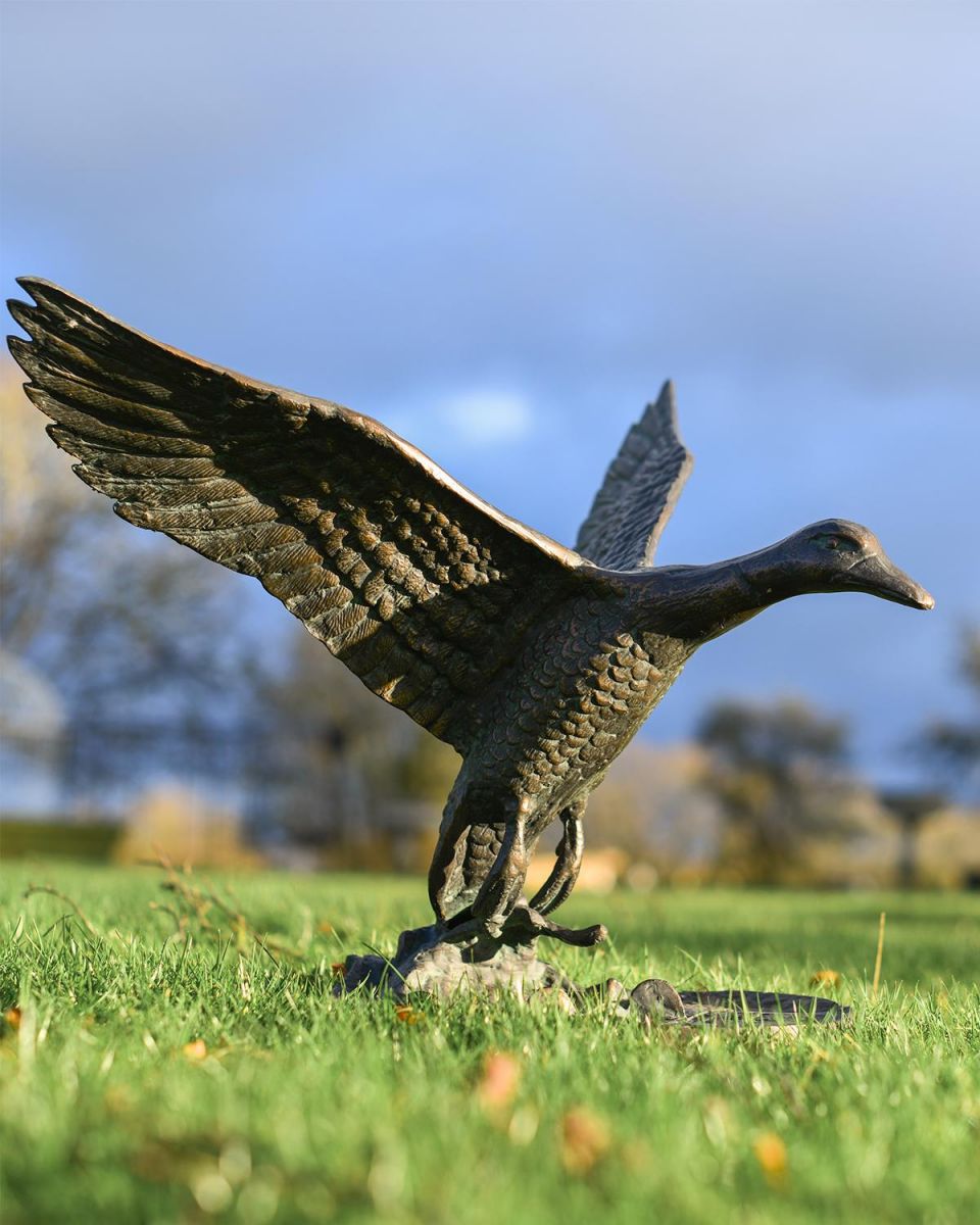 Cast Aluminum Flying Duck Garden Sculpture On Grass