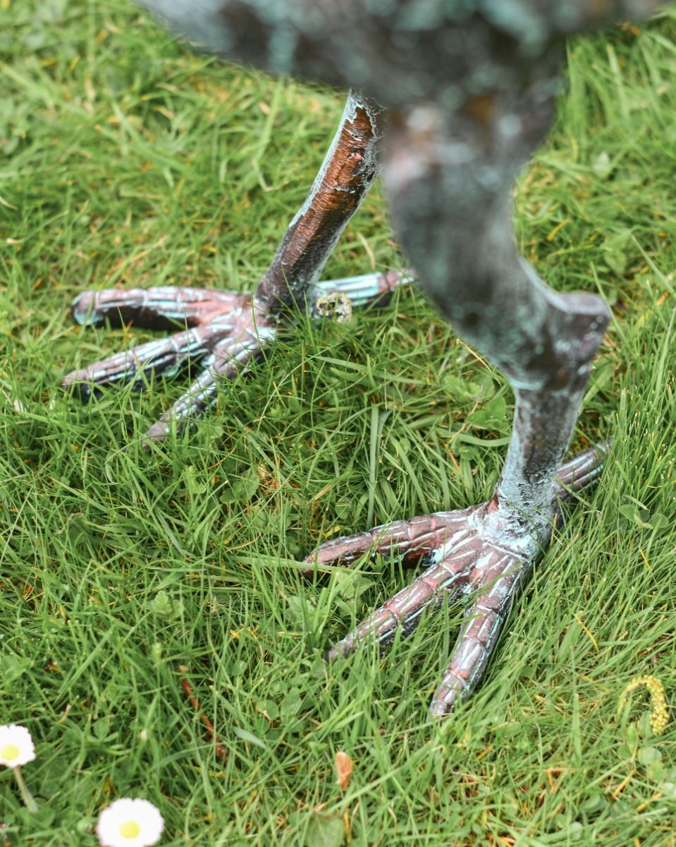 Cast Aluminium "Mason" Emu Garden Sculpture in Verdigris Feet Close Up