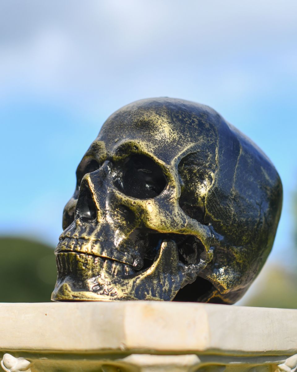 Cast aluminium Skull ornament in black and antique gold
