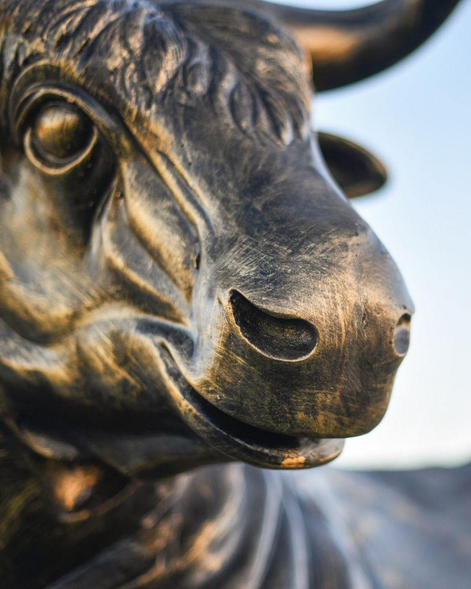 Close-Up of Cast Aluminium "Raging Bull" Garden Sculpture 