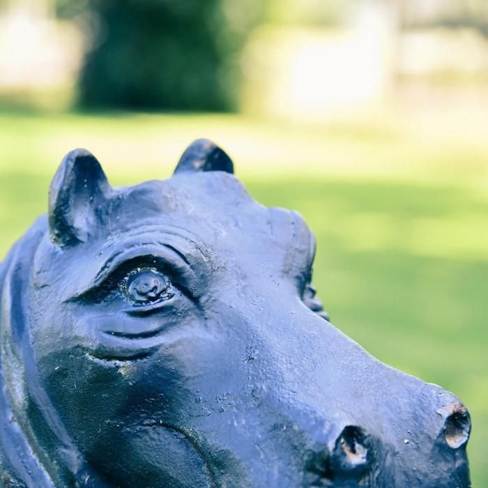 Close-up of the Black Finish on the Cast Iron Black Hippo Sculpture