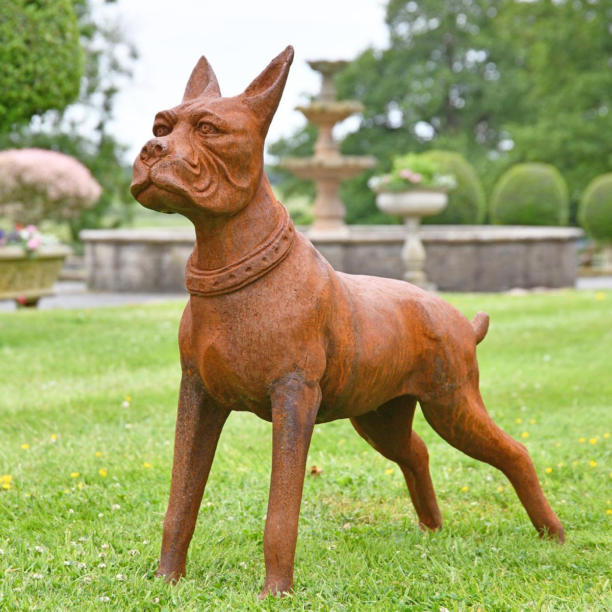 Cast Iron Boxer Dog Sculpture in the Garden