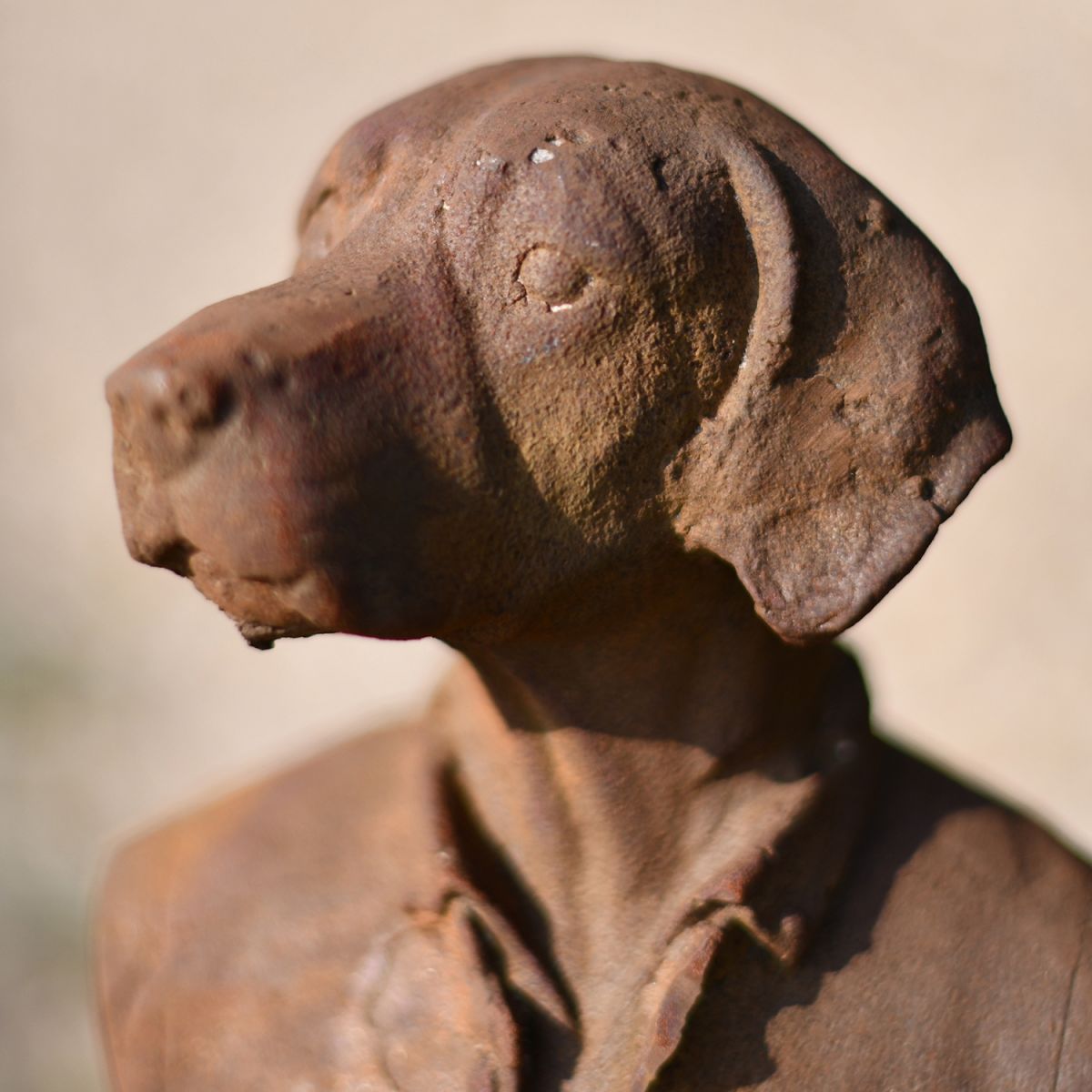 Close-up of the Dog"s Face