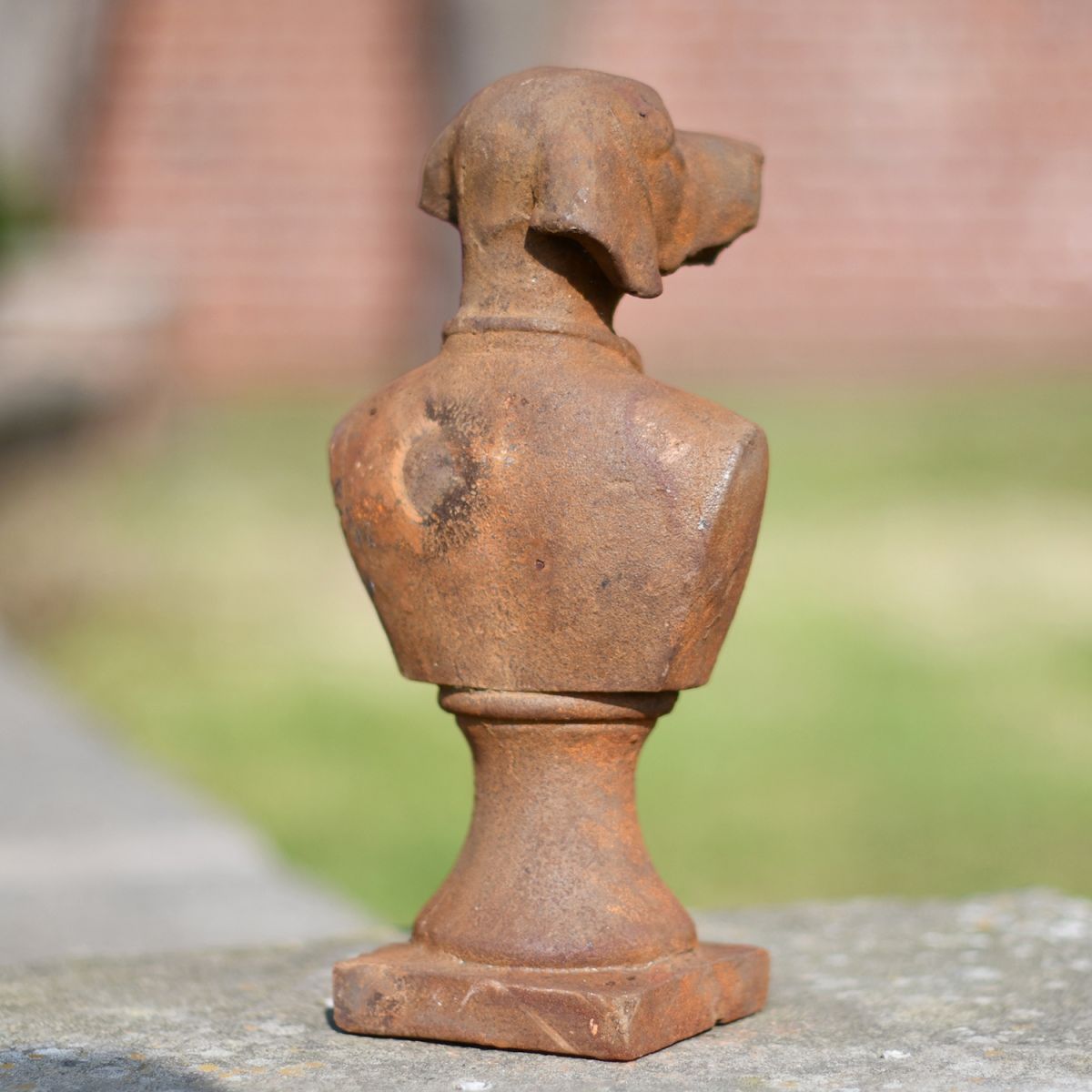 View of the Back of the Dog Bust
