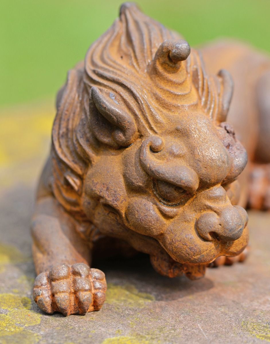 Close Up of Rustic Dragons Face 