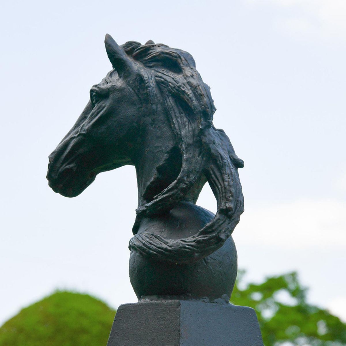 Side View of the Cast Iron Horse Head Bust