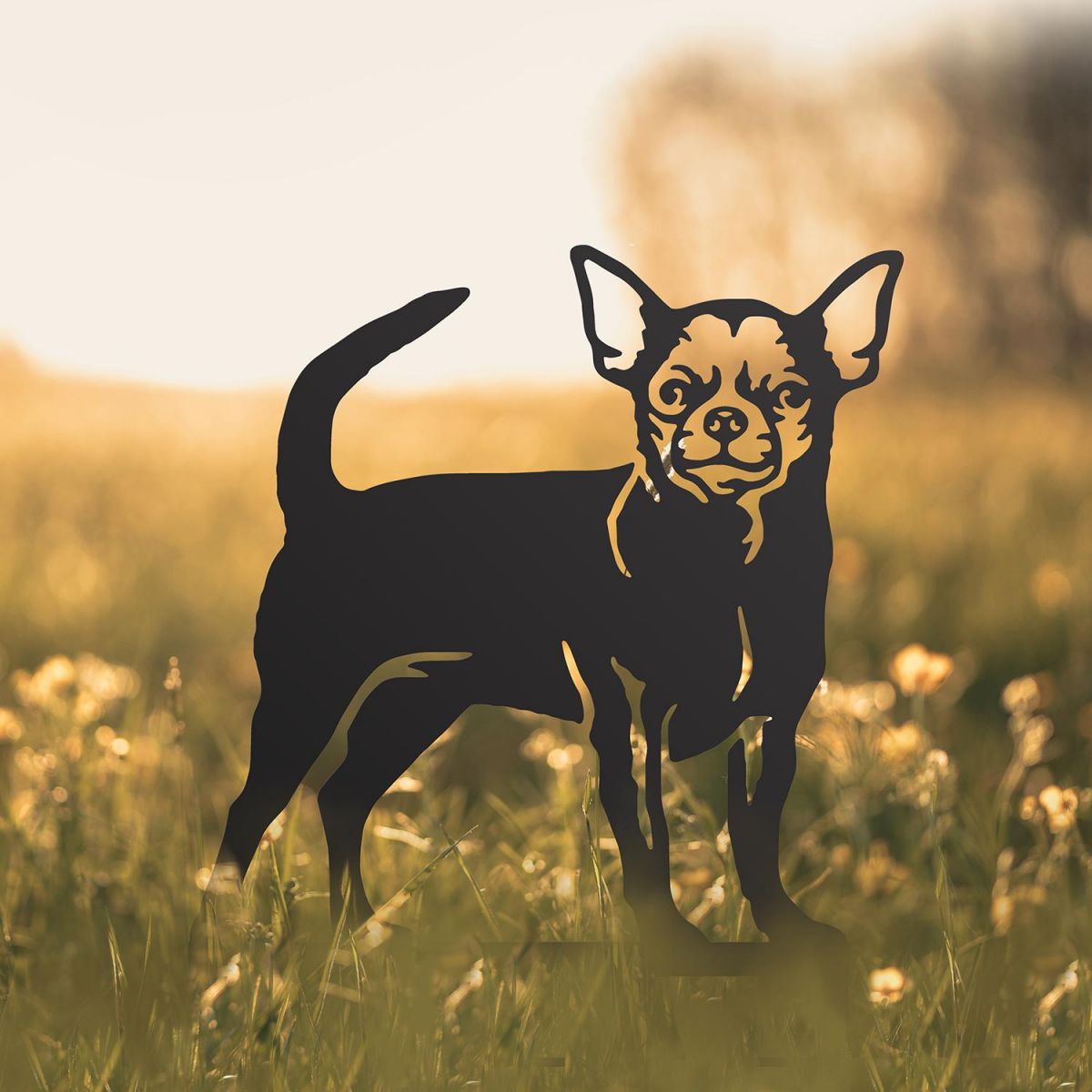 Chihuahua Silhouette in Situ in a Field