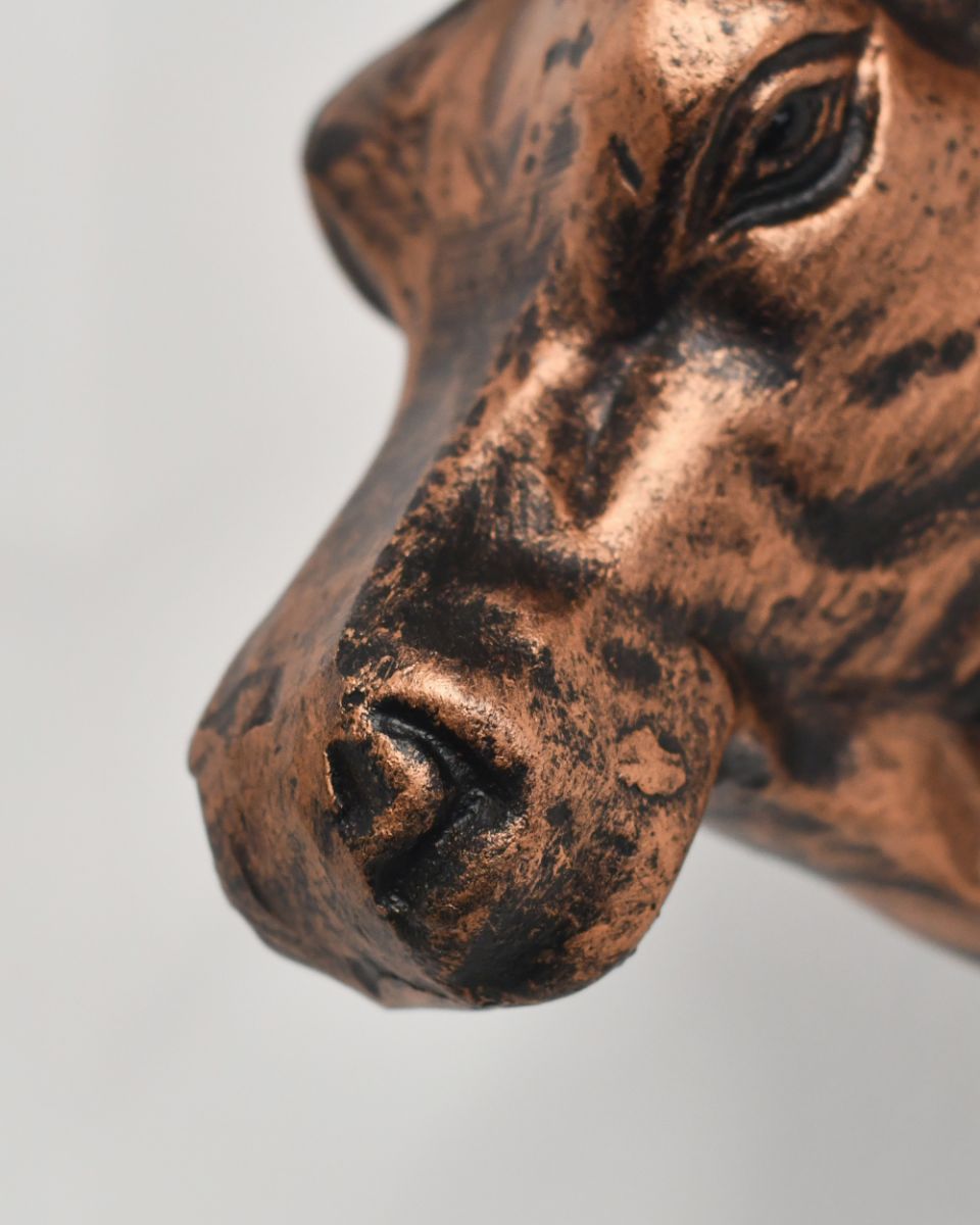 Close Up Of The Bronze Finish On The Bull Home Wall Art