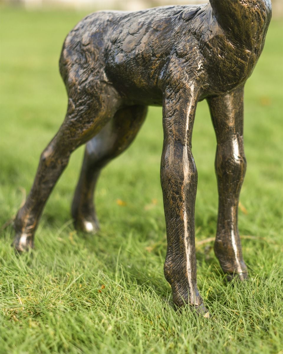 Close Up Of Does Legs 