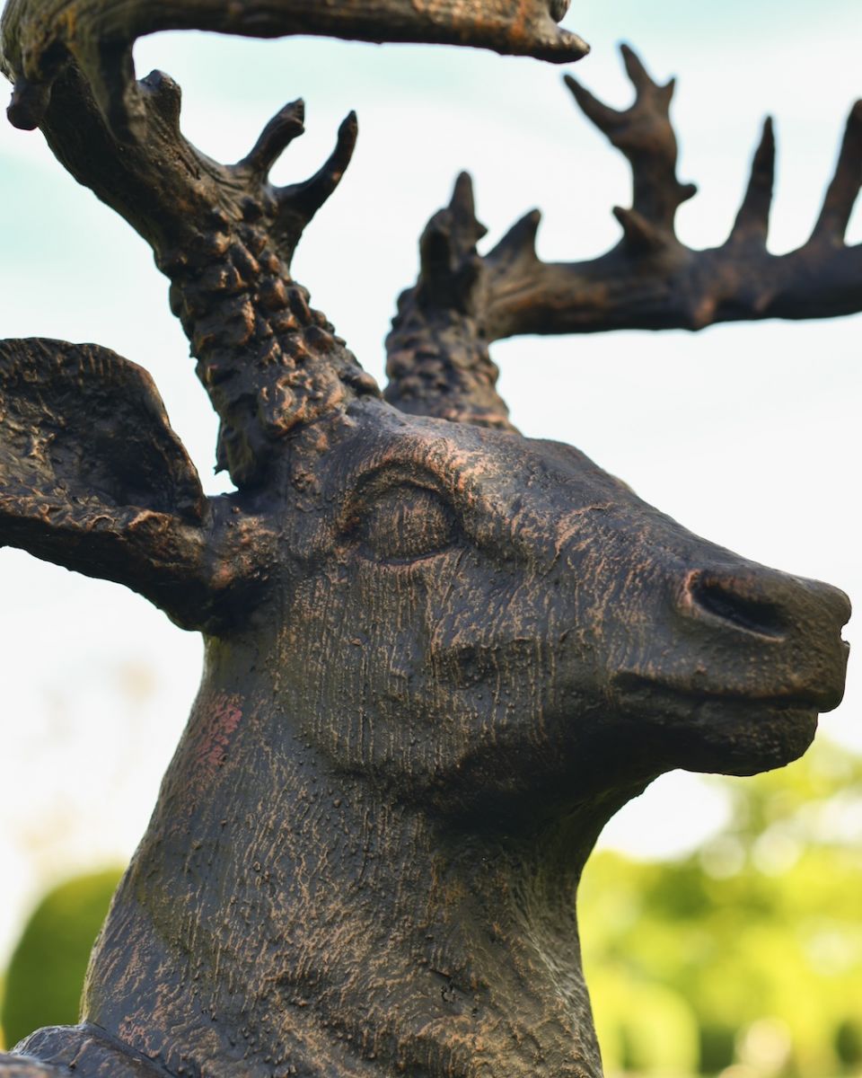 Close up of face detail on stag bust