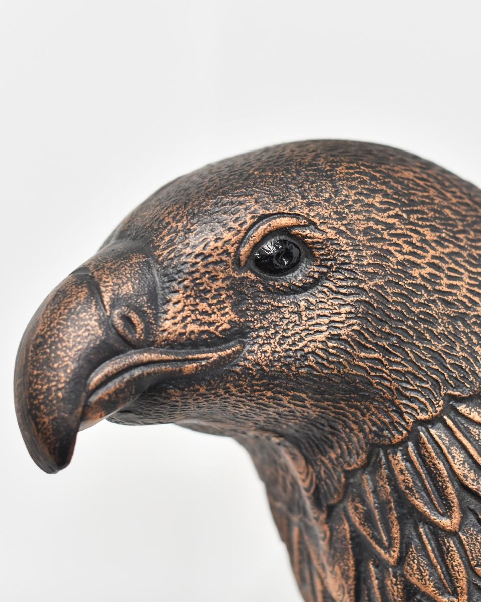 Close up of intricate face detail on eagle wall bust