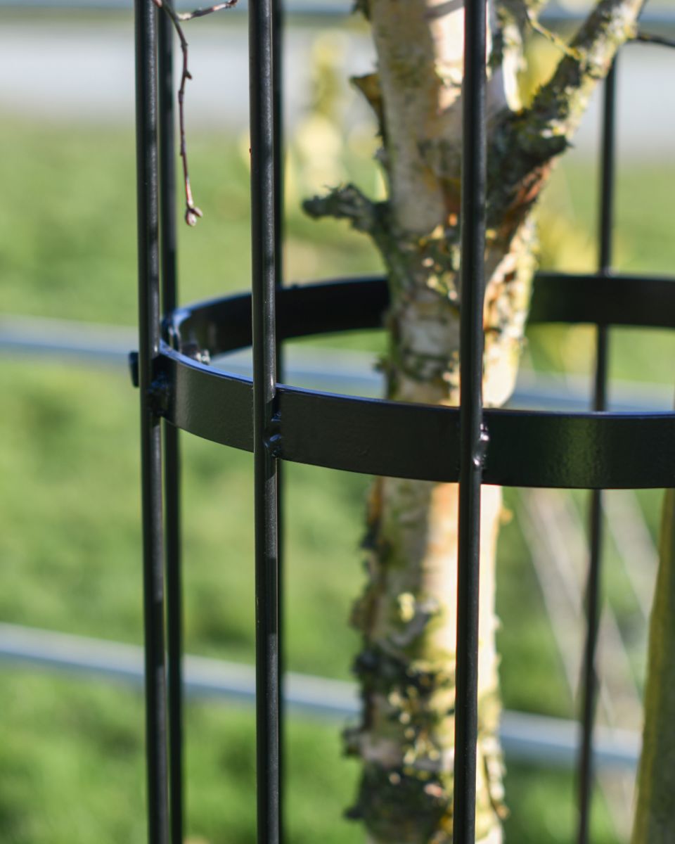 Close Up Of The Black Finish On The Fernhill Tee guard