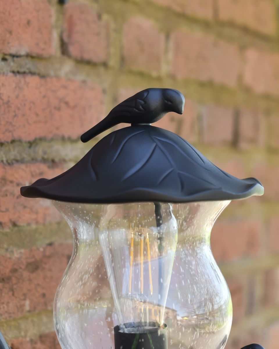 top of garden wall light, close up of bird detail