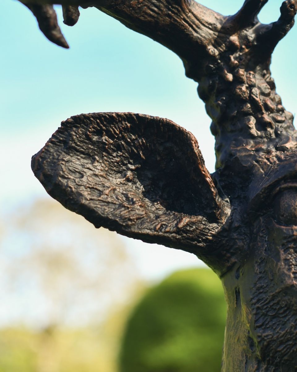 close up of ear detail on cast aluminium stag bust