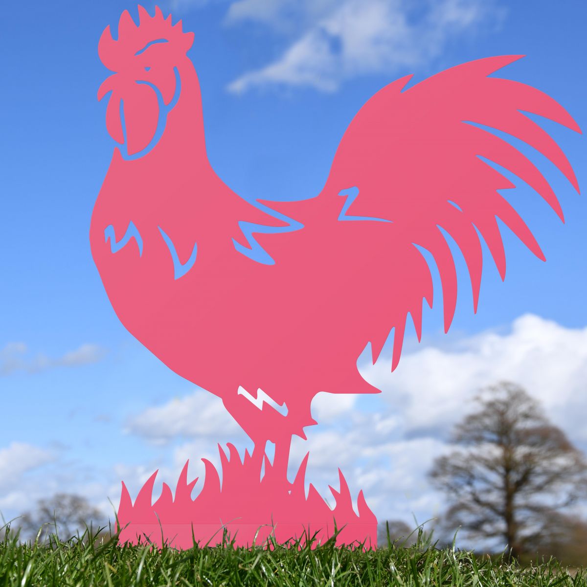 Pink Rooster Silhouette 