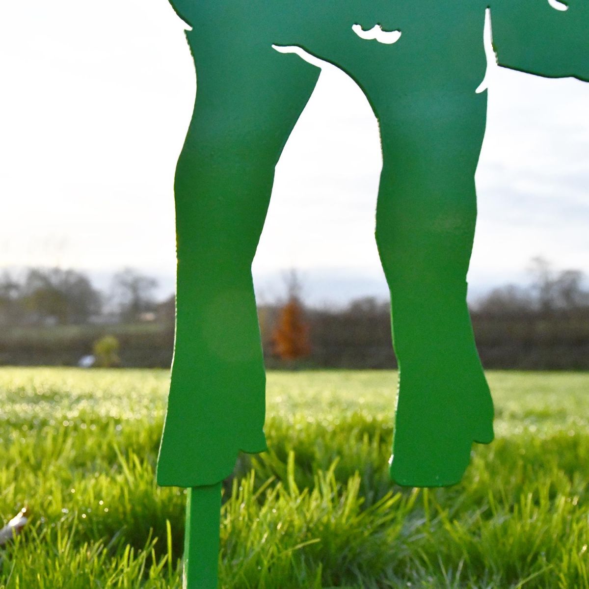 Close-up of the Feet on the Curly Lamb Silhouette